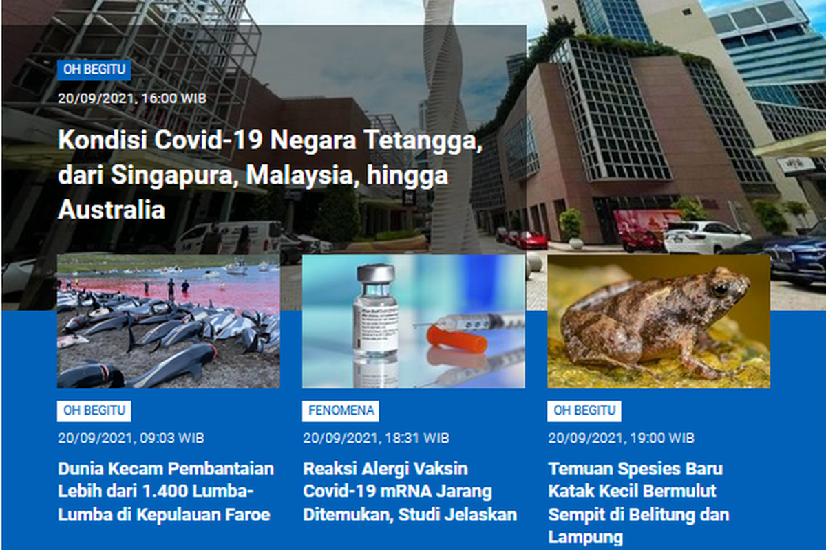 Tangkapan layar berita populer Sains sepanjang Senin (20/9/2021) hingga Selasa (21/9/2021) pagi. Kondisi Covid-19 di negara tetangga yang kasusnya melonjak hingga tradisi perburuan lumba-lumba di Kepulauan Faroe yang dikecam dunia karena ribuan lumba-lumba sisik putih mati.