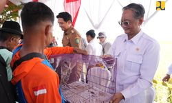 Tekan Hama Tikus secara Alami, Menteri PU Serahkan Burung Hantu kepada Petani di Lahan IPHA