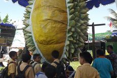 Suka Durian? Ada Festival Durian di Magelang Pertengahan Maret
