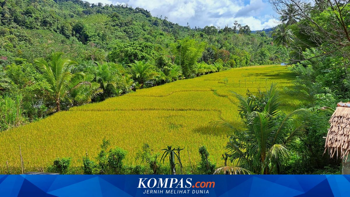 Desa dalam Peta Pariwisata