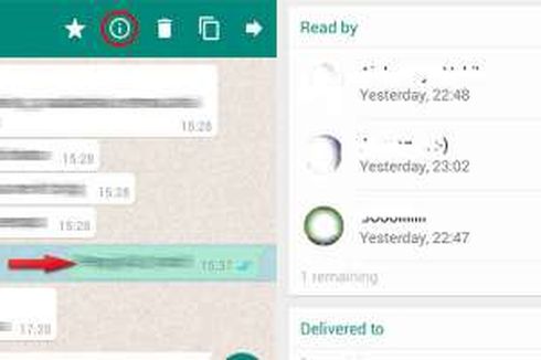 Ini Tanda Pesan di Grup WhatsApp Sudah Dibaca