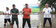 Dukung Ketahanan Pangan dan Makan Siang Bergizi, Pemkab Malang Gulirkan Gerakan Tanam Padi