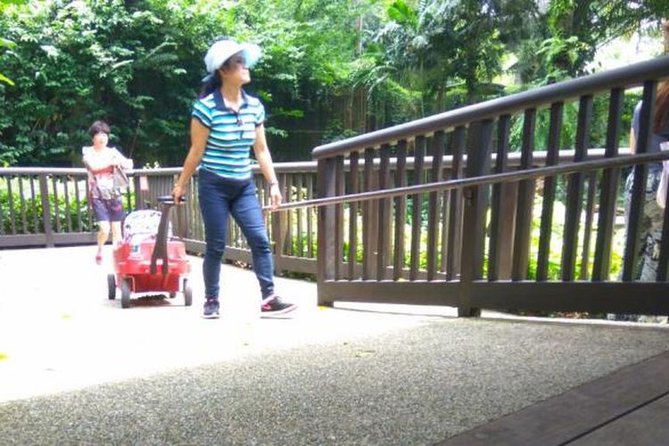 Jalur khusus kursi roda dan stroller di Singapore Zoo.