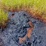 Fenomena Cairan Hitam Misterius di Nganjuk, Warga Sebut Mudah Terbakar