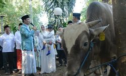 Kang Emil Sebut Masjid Salman ITB Berhasil Distribusikan Daging Kurban secara Tepat Sasaran