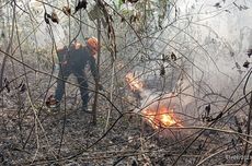 Hutan Pendidikan IPB di Gunung Walat Sukabumi Terbakar