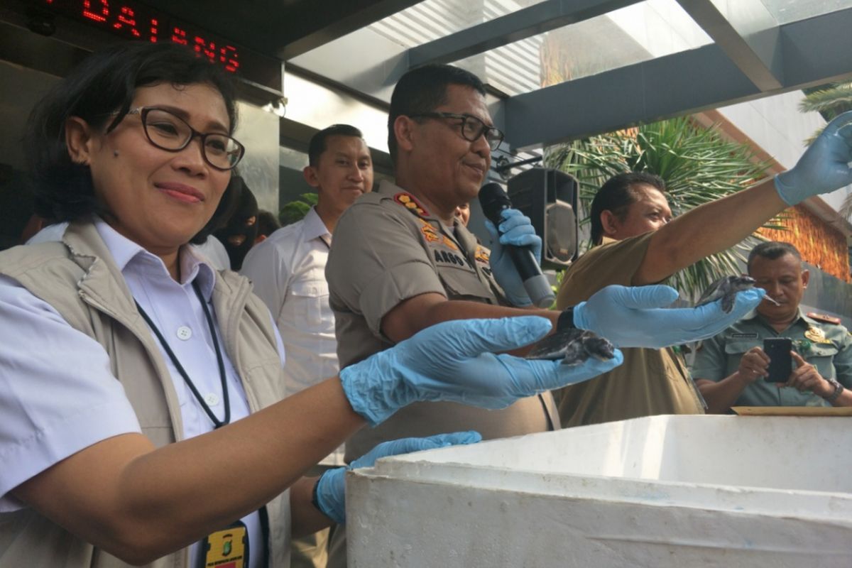 Jajaran Subdit Sumber Daya Lingkungan (Sumdaling) Ditreskrimsus Polda Metro Jaya baru saja menangkap ES, seorang tersangka kasus jual beli kura-kura jenis moncong babi asal Kabupaten Merauke, Papua.