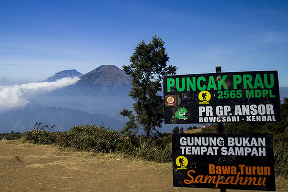 Panorama alam yang memesona di Gunung Prau, Jawa Tengah.