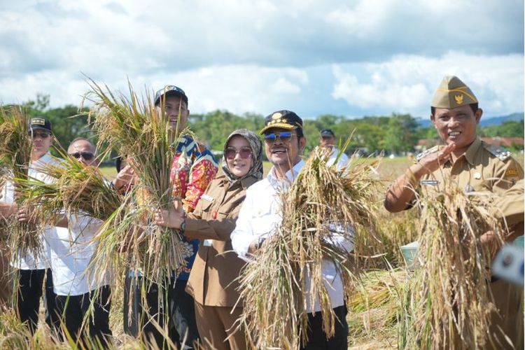 Bupati Klaten Sri Mulyani mendampingi Mentan saat panen raya padi IP 400 di Desa Kalikebo.