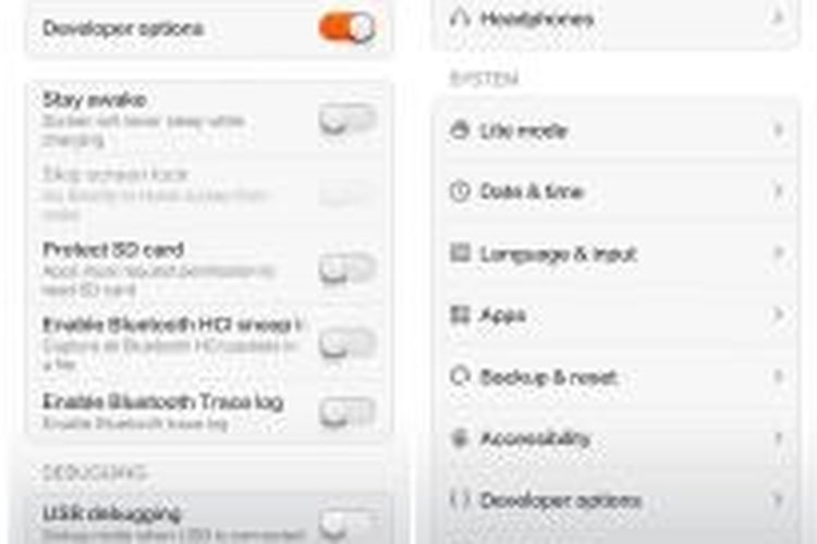 Developer options на русском. Developer options на iphone.