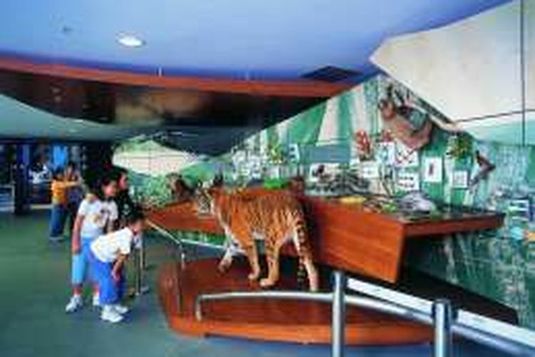 4 Tempat Wisata Di Hongkong Yang Cocok Untuk Anak Halaman All Kompas Com