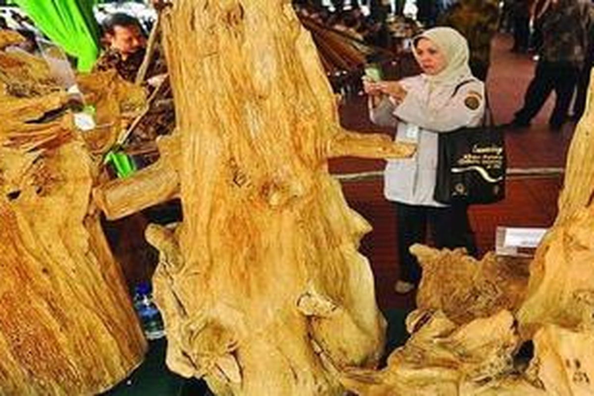 Ilustrasi kayu gaharu