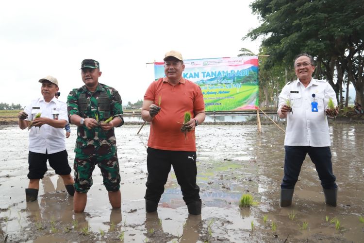 Pelaksana Tugas (Plt) Bupati Malang Didik Gatot Subroto dalam acara Gerakan Tanam Padi bersama Petani Tangguh Malang Makmur di Lahan Sawah Poktan Margo Rukun III, Desa Karangduren, Kecamatan Pakisaji, Kabupaten Malang, Rabu (23/10/2024). 
