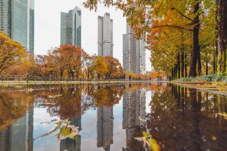 Suasana musim gugur di Seoul Forest, Korea Selatan. Seoul Forest terletak di Seongsu-dong, salah satu kawasan paling populer di Seoul. 