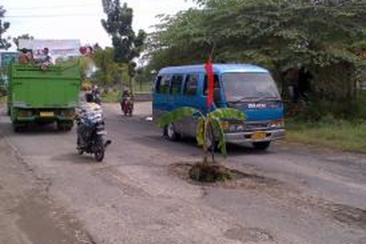 Kubangan jalan menghiasi jalan menuju perbatasan Pamekasan-Sumenep. Warga menanami pohon pisang di jalan provinsi di Desa Montok, Kecamatan Larangan, Pamekasan.