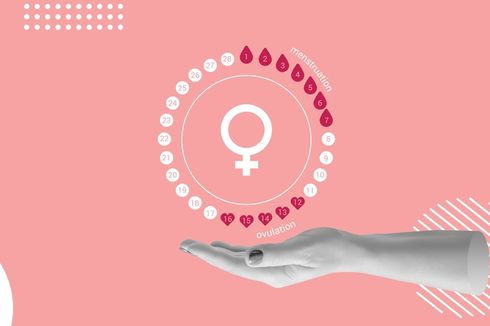 Kenali Proses Terjadinya Menstruasi dan Hormon yang Berperan Penting