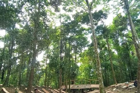 Gubernur NTT Kunjungi Wisata Wae Bobok Labuan Bajo, Nikmati Nasi Bambu dan Ketupat