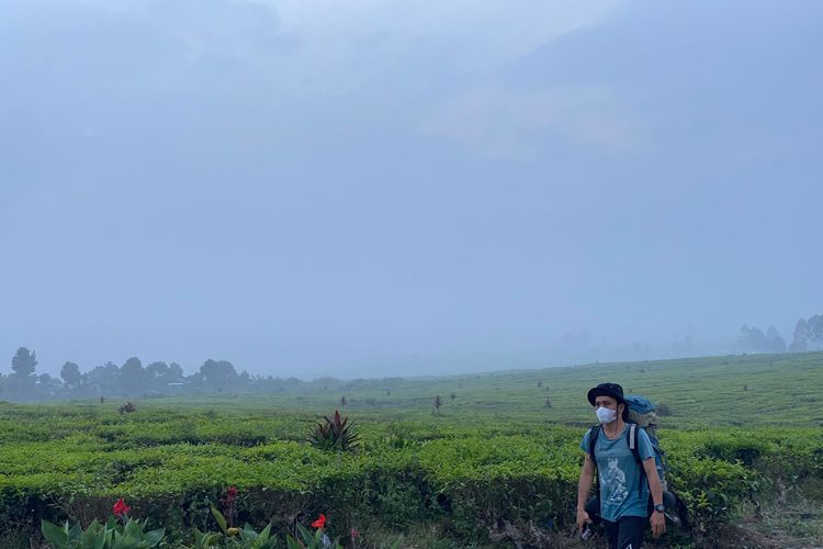 Kabut Asap Makin Pekat di Kayu Aro, Gunung Kerinci 