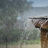Prakiraan BMKG: Sebagian Jabodetabek Hujan Ringan, Depok-Bogor Hujan Lebat Nanti Malam