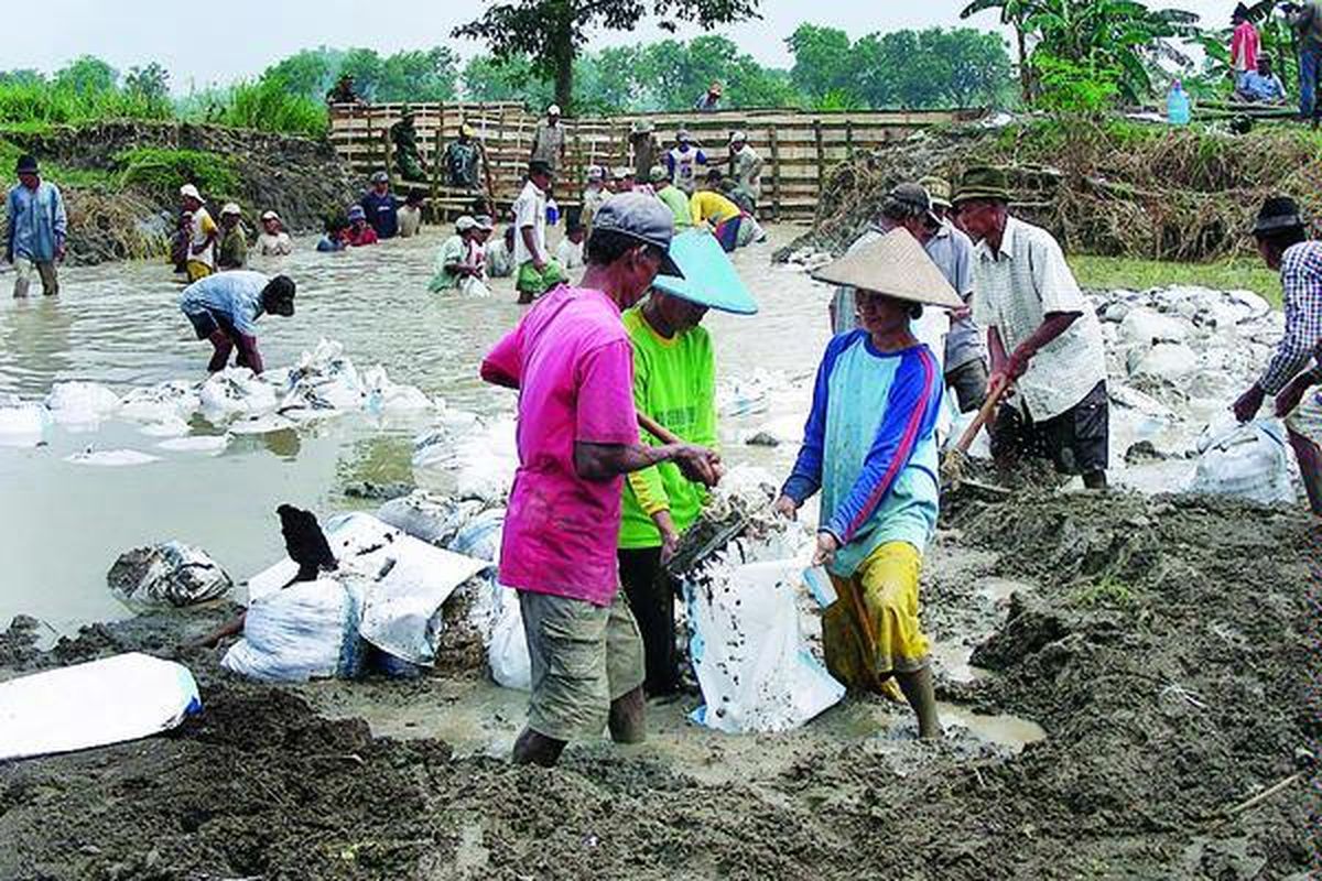 Warga Desa Cermen Lerek, Kecamatan Kedamean, Kabupaten Gresik, Jawa Timur, Kamis (10/2), bergotong royong menutup tanggul yang jebol akibat luapan Kali Lamong.