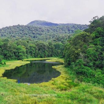 Taman Nasional Batang Gadis, Mandailing Natal, Sumatera Utara