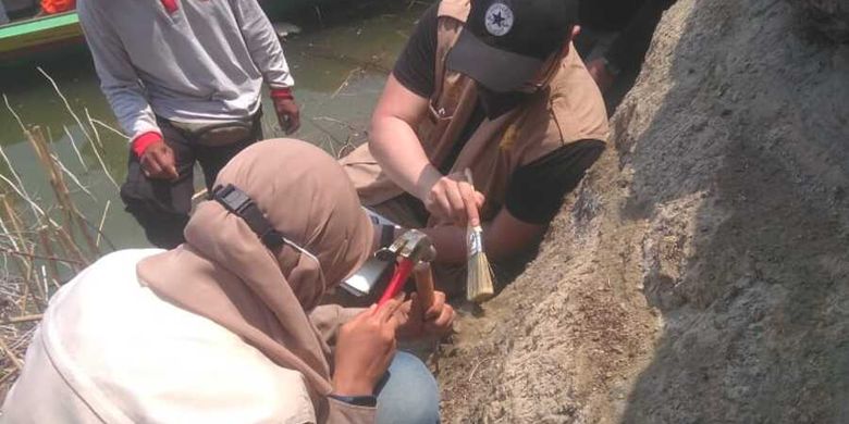 Tim Paleontologi ITB sedang meneliti temuan dugaan fosil hewan purba di sekitar Waduk Saguling, Bandung Barat.