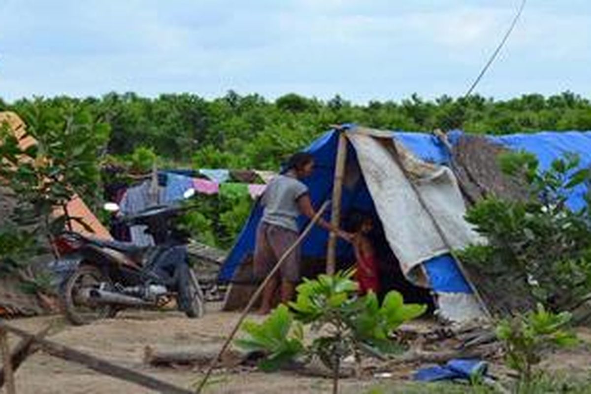 Bertahan di Hutan Register Sejumlah warga pendatang dari luar Mesuji tinggal di tenda-tenda darurat di hutan Register 45, Kabupaten Mesuji, Provinsi Lampung, Rabu (22/2/2012). Warga yang dianggap perambah ini diperingatkan Pemkab Mesuji untuk segera meninggalkan kawasan hutan produksi terbatas ini paling lambat 27 Februari mendatang.