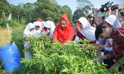 Diharapkan Teruskan Profesi Orangtua, Pemkot Semarang Berikan Beasiswa bagi Anak Nelayan dan Petani