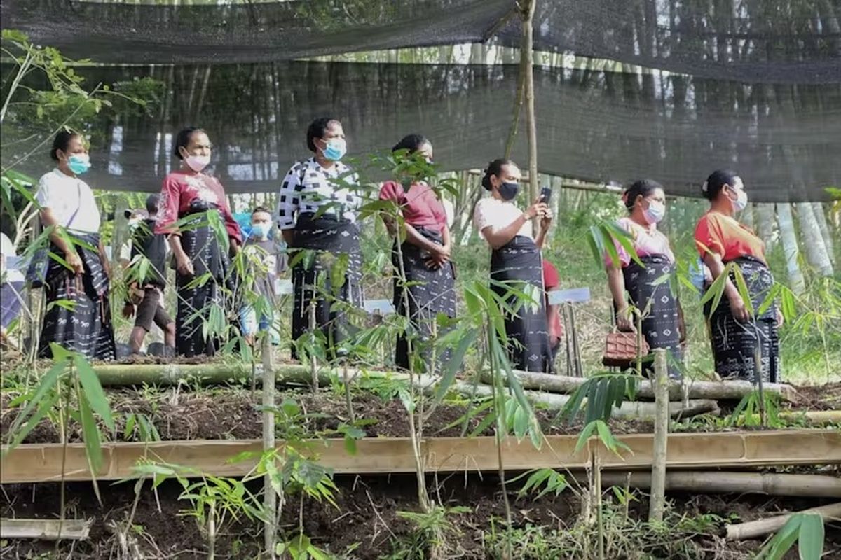 Perempuan di Kabupaten Ngada, NTT, yang sudah akrab dengan bambu.