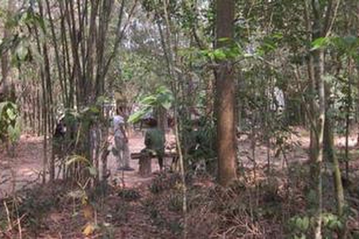 Hutan persembunyian Vietkong jadi objek wisata di Vietnam.