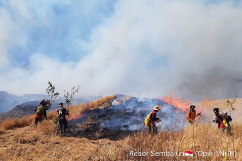 Kebakaran Hutan Gunung Rinjani, 61 Pendaki Sempat Terjebak