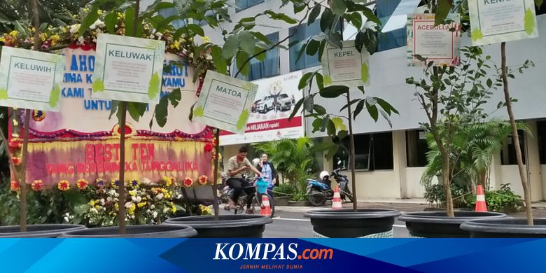 Simak, Cara Mudah Tabulampot dan Jenis Tanamannya