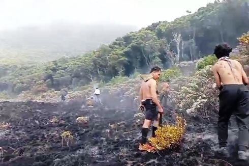 Perjuangan Relawan Padamkan Kebakaran Gunung Gede, Kulit Melepuh dan Rambut Terbakar