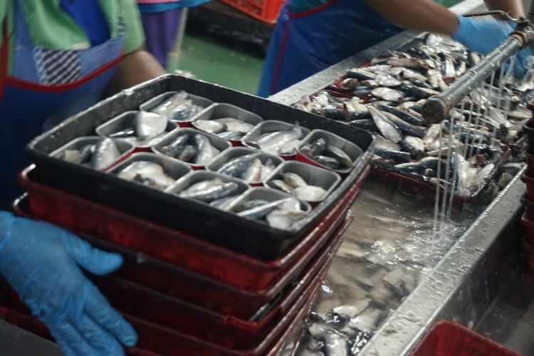Pabrik pengalengan ikan d Muncar menggunakan ikan impor karena kesulitan mencari ikan lemuru di perairan Muncar Banyuwangi