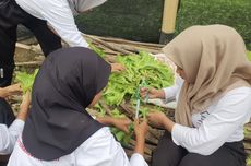 Diplomat China Nilai Persaingan Ekonomi Makin Kompleks, Asia Tenggara Didorong Ambil Peluang