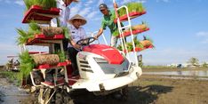 Pemprov Jateng Pulihkan 512 Hektar Lahan Pertanian di Demak, Petani Apresiasi