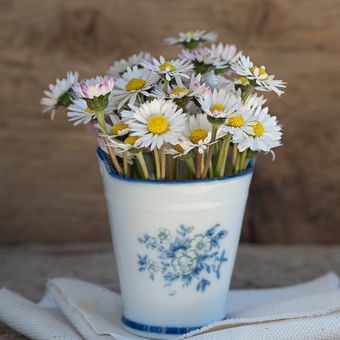 Granulated sugar can be used to preserve the flowers in the vase longer. 