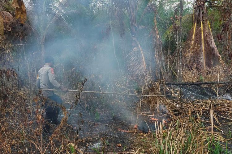 Seorang anggota polisi berusaha memadamkan kebakaran lahan di perbatasan Desa Matantutul dan Wermatang Kecamatan Wermaktian, Kabupaten Kepulauan Tanimbar, Maluku, Minggu (12/11/2023).