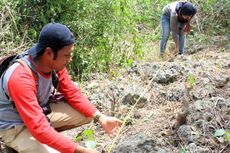 Batuan Karang Diduga Struktur Benteng Ditemukan di Gorontalo