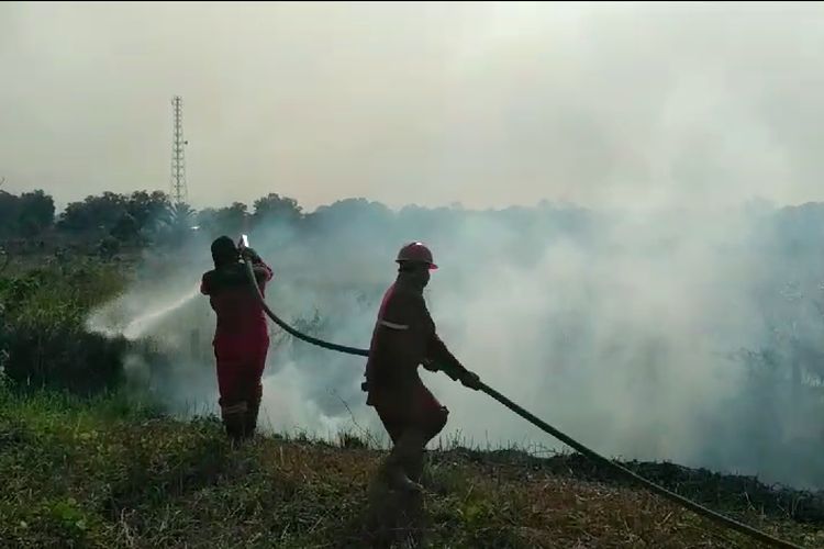 Petugas Manggala Agni melakukan proses pemadaman di kawasan hamparan sisi kanan dan kiri tol Palembang-Indralaya, Kabupaten Ogan Ilir, Sumatera Selatan, Rabu (13/9/2023).