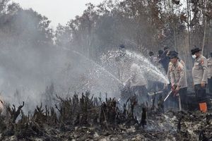 Pemerintah: Keberhasilan Operasi Darat Pemadaman Karhutla di Atas 80 Persen