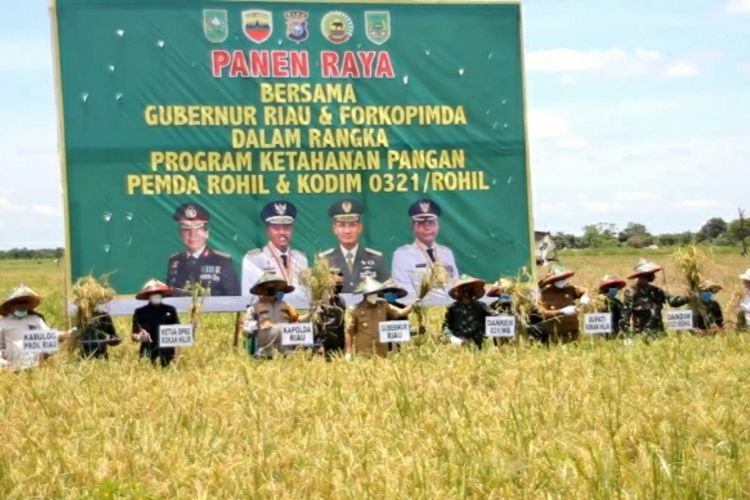 Gubernur Riau Syamsuar bersama Danrem 031/Wira Bima Brigjen TNI Muhammad Syech Ismed dan Kapolda Riau Irjen Pol Agung Setya Imam Effendi serta pejabat instansi lainnya saat panen raya padi hasil garapan petani dan TNI di Kepenghuluan Rokan Baru Pesisir, Kecamatan Pekaitan, Kabupaten Rohil, Riau, Selasa (30/3/2021).