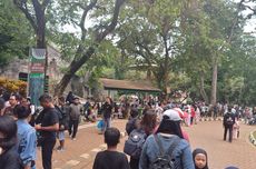 Hingga Pukul 14.00 WIB, Pengunjung Taman Margasatwa Ragunan Tembus 90,495 Orang