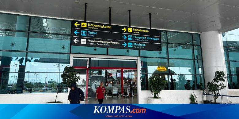 Pemerintah Buka Puluhan Bandara Internasional, Pengamat: Apa Tujuannya?