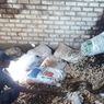 Pekerja Temukan Ular Piton Sepanjang 4 Meter Mengeram Puluhan Telur di Gudang Tahu