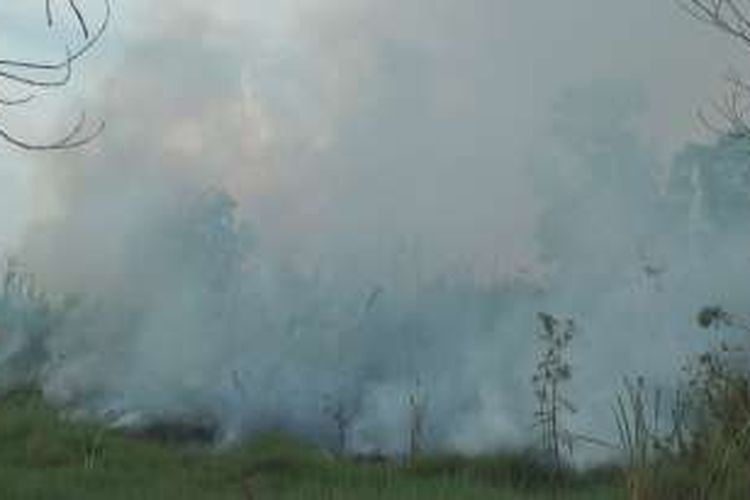 Lahan gambut di Kabupaten Ogan Ilir mulai terbakar, panas yang menyengat membuat api cepat meluas
