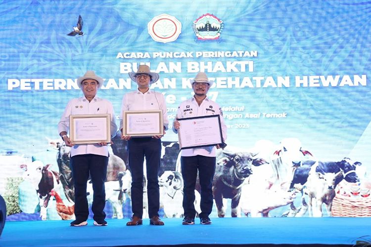 Kementerian Pertanian menerima tiga penghargaan dari FAO dan WOAH atas keberhasilan dalam bidang peternakan pada puncak peringatan Bulan Bhakti Peternakan dan Kesehatan Hewan Ke-187 di Asrama Haji Donohudan, Boyolali, Jawa Tengah, Jumat (22/9/2023).