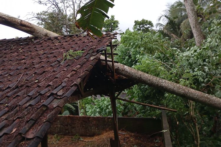 Puting Beliung Terjang Kecamatan Bener Purworejo, Atap Rumah Rusak, Pohon Tumbang