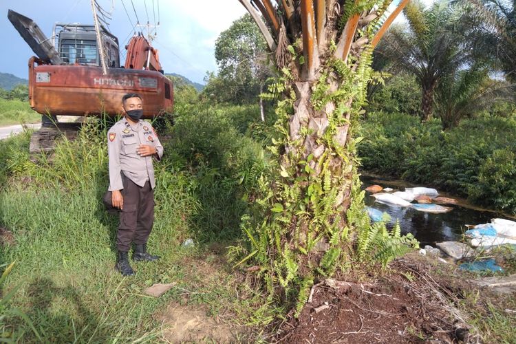 Puluhan karung berisi bangkai babi ditemukan dibuang di sebuah parit Jalan Anjongan Dalam, Desa Anjongan Dalam, Kabupaten Mempawah, Kalimantan Barat (Kalbar). Hingga saat ini, belum diketahui siapa yang membuang bangkai babi tersebut. Kepolisian masih melakukan 