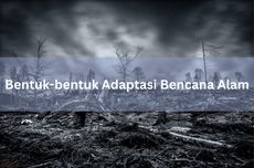 Bentuk-bentuk Adaptasi Bencana Alam